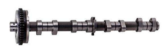 Audi camshaft - inlet