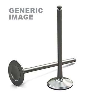 Jaguar valve-inlet 33x5.5x119