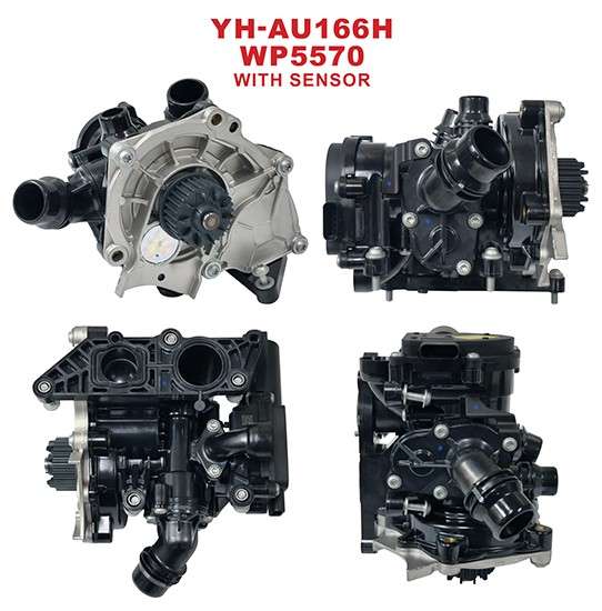 Audi water pump with housing (WITH SENSOR)