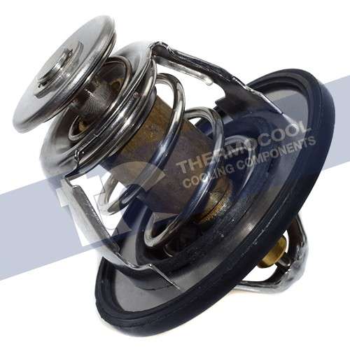 Lexus thermostat