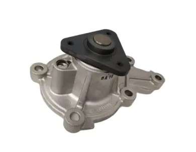 Mahindra water pump