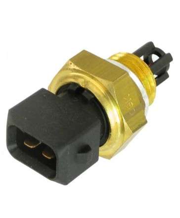 Kia sensor - inlet air temperature 2 PIN