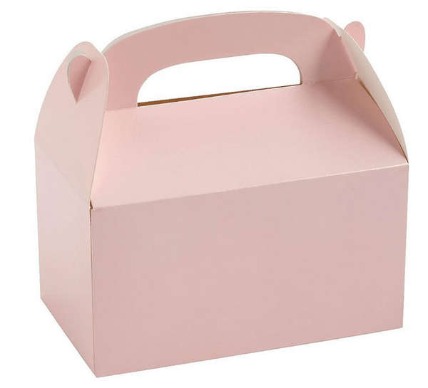 Plain Pink Party Favor Boxes (Set of 10)