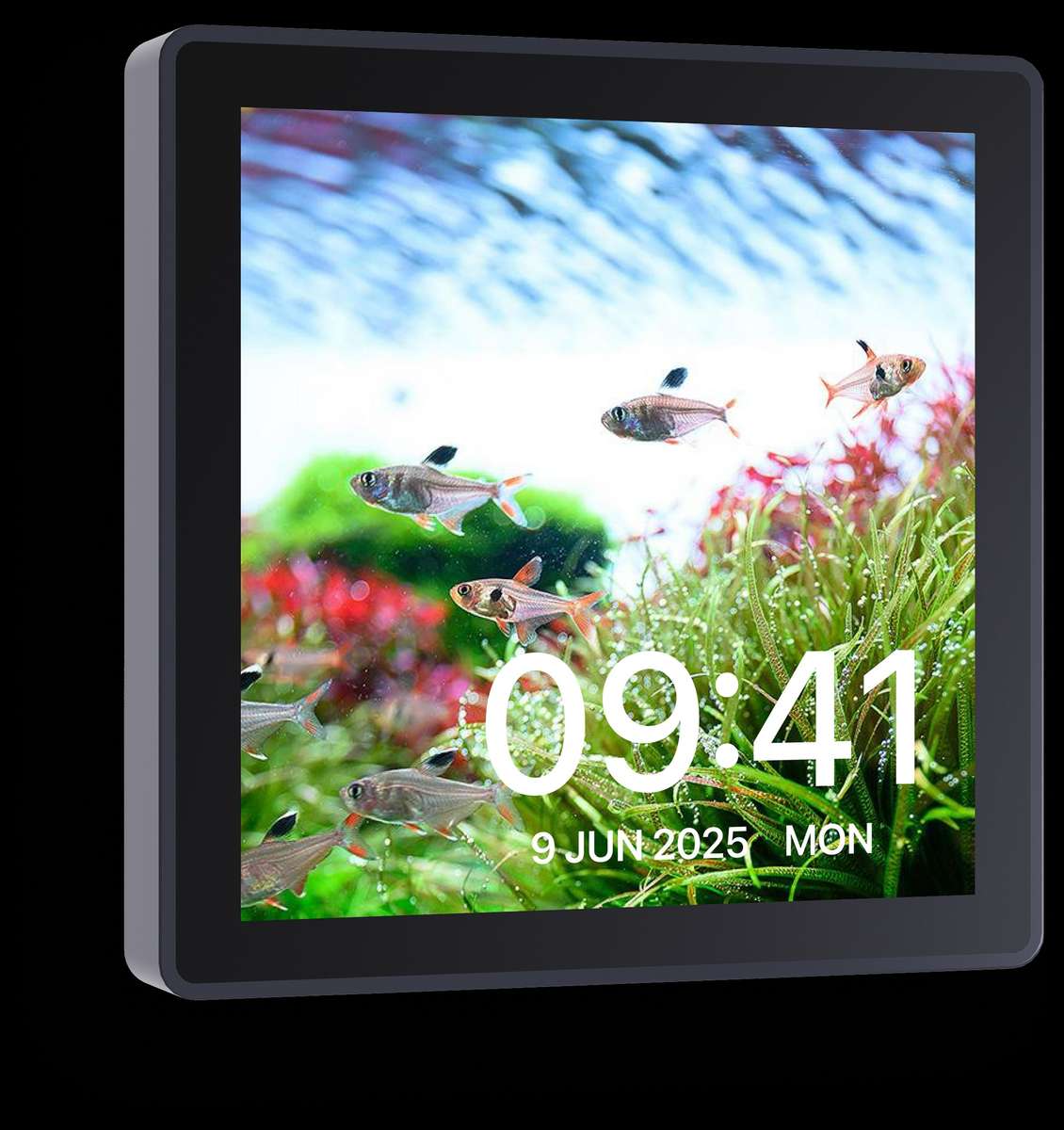Chihiros WiFi Hub Pro  Smart Aquarium Control Centre