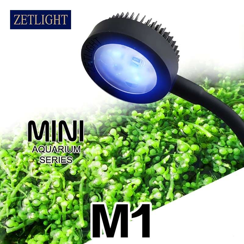 Zetlight ZN1050 M1 Mini Tank Adjustable LED Light (3W)
