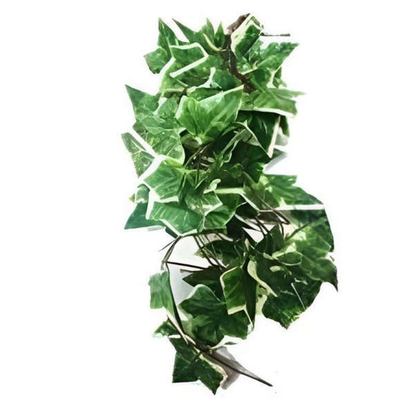 2.4m Artificial Leaf Vine Garland for Terrariums