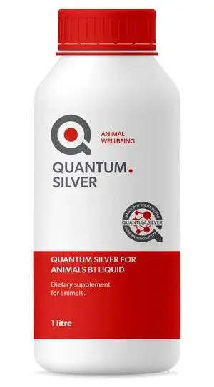 QUANTUM SILVER QS SOLUTION 1LT