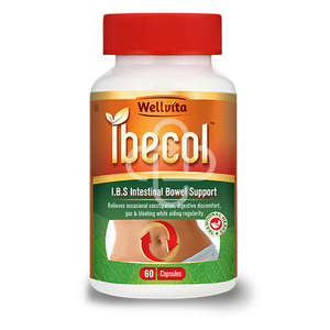 IBECOL 60 CAPSULES WELLVITA