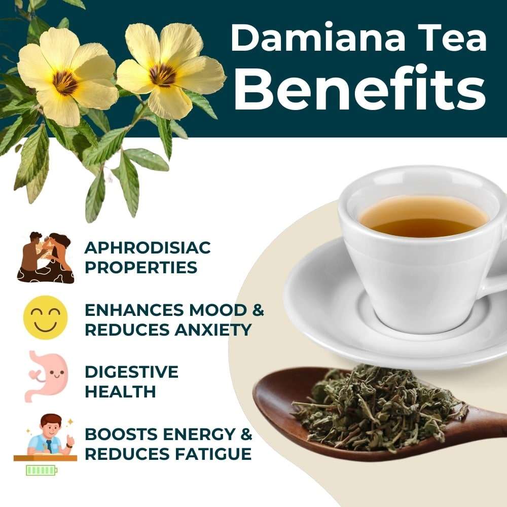 Damiana Spirit Flow Tea &amp; Smoke (Turnera Diffusa) 5g