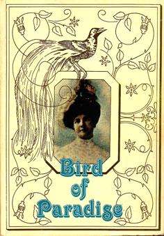 Bird of Paradise: Jose Dale Lace (SIGNED)