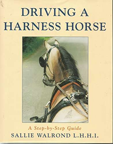 Driving a Harness Horse- A Step -By-Step Guide
