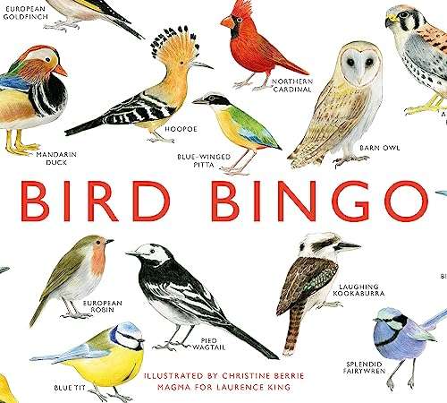Bird Bingo -Game