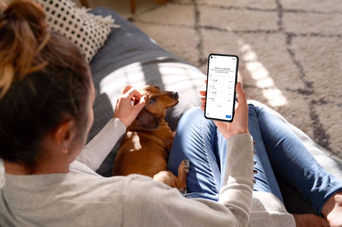 Google - Nest Smart Programmable Wifi Thermostat - Snow