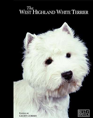 West Highland White Terrier By Geoff Corish