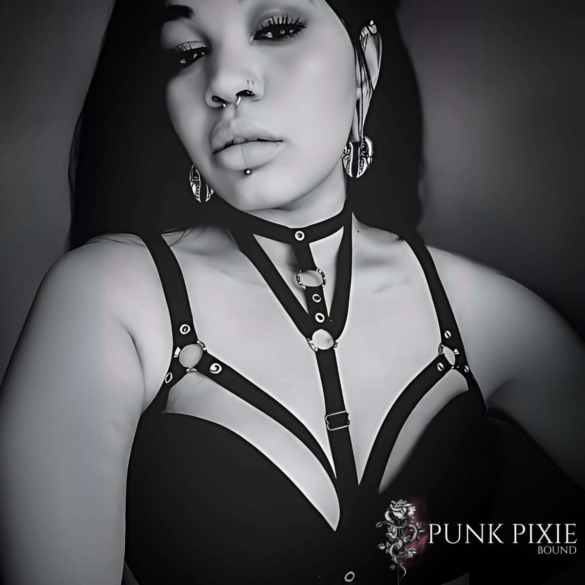 Enigma harness
