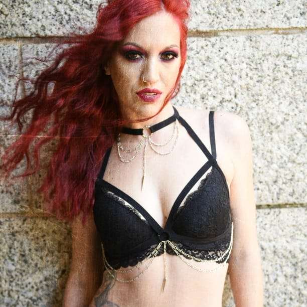 Dismember harness