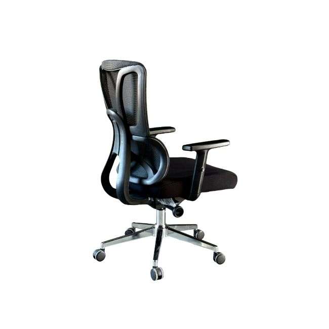 QandAHome-Vera Orthopedic and Ergonomic Office Chair