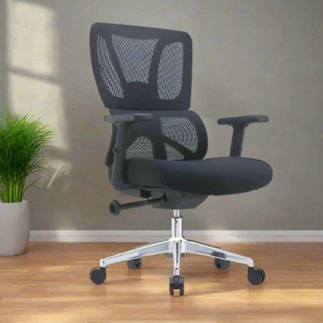 QandAHome-Vera Orthopedic and Ergonomic Office Chair
