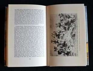 Karl Mauch African Explorer - Edited and translated by F. O. Berhard - 1400g