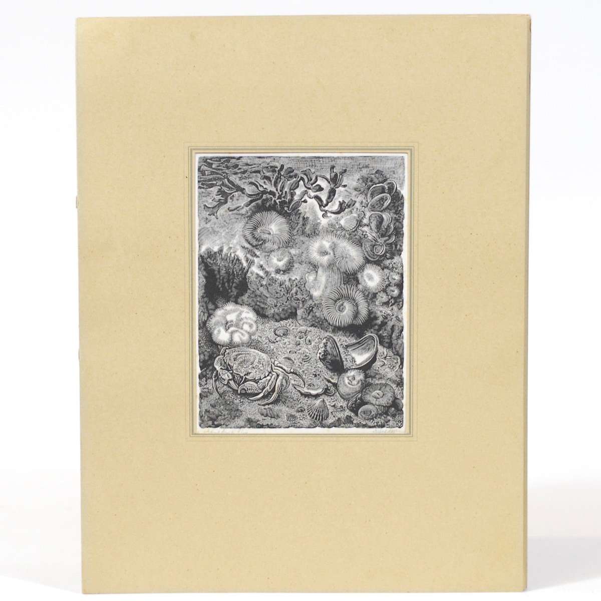 Vijf Houtgravures - Van Gelder, Dirk