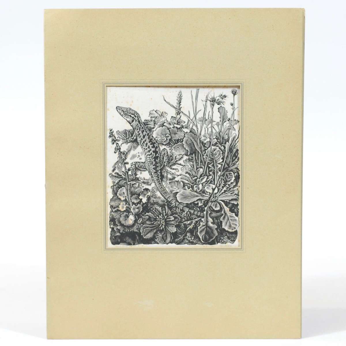 Vijf Houtgravures - Van Gelder, Dirk