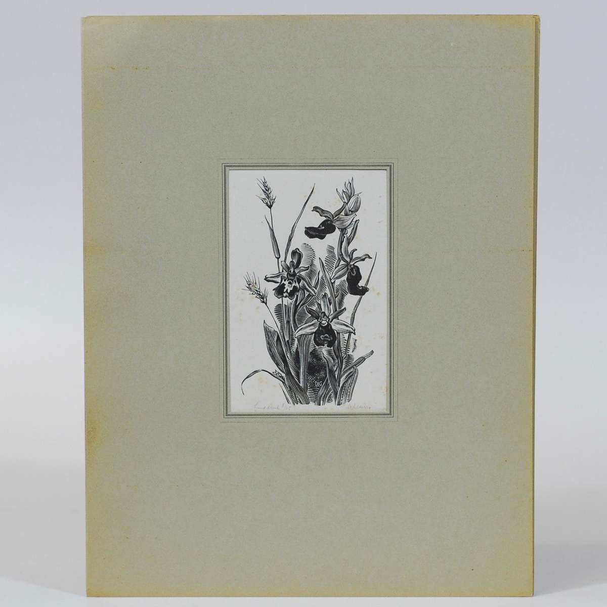 Vijf Houtgravures - Van Gelder, Dirk