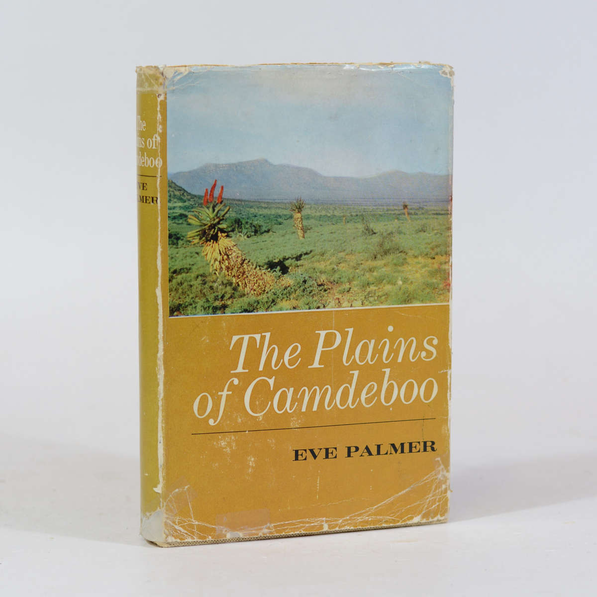 The Plains of Camdeboo - Palmer, Eve
