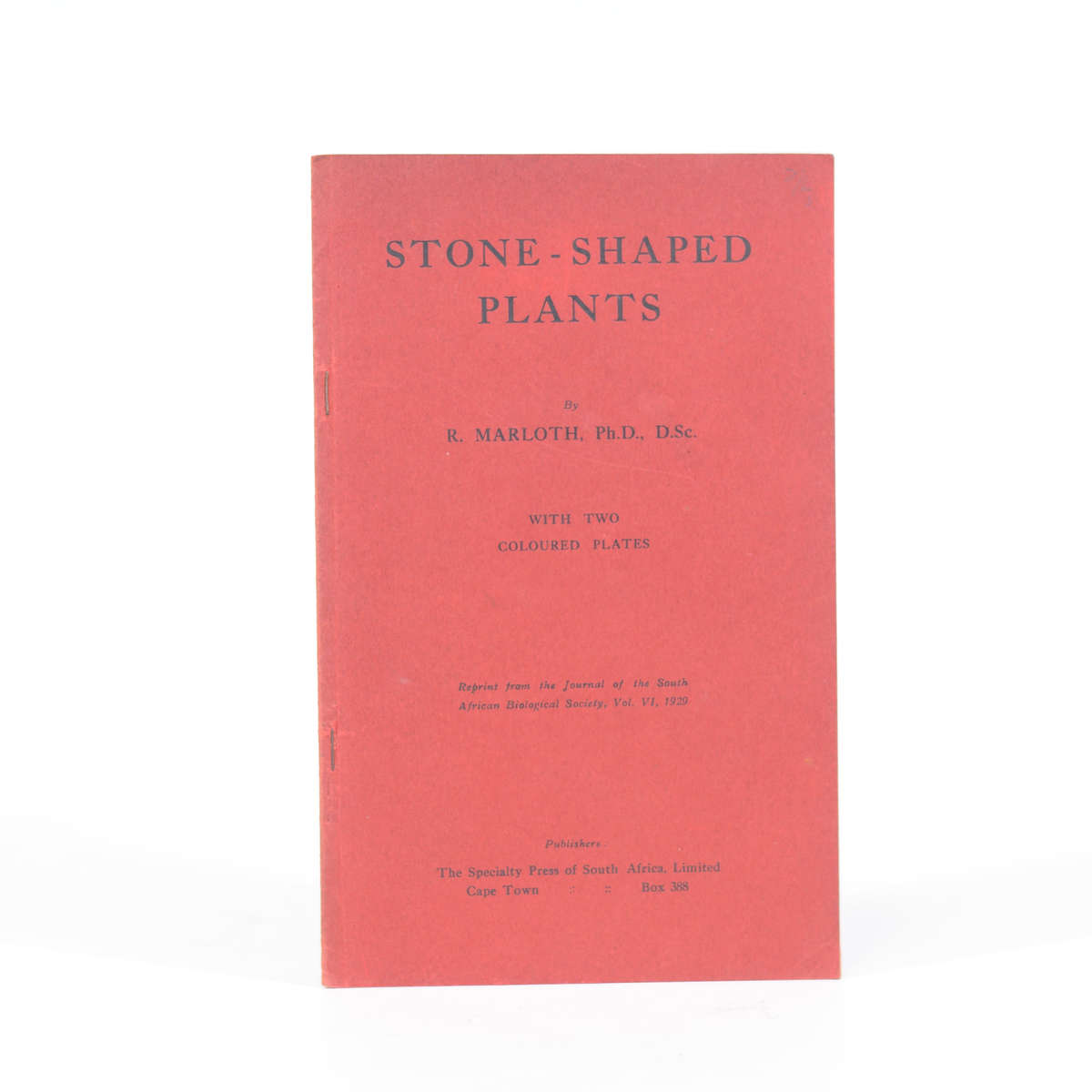 Stone-Shaped Plants - Marloth, Rudolf