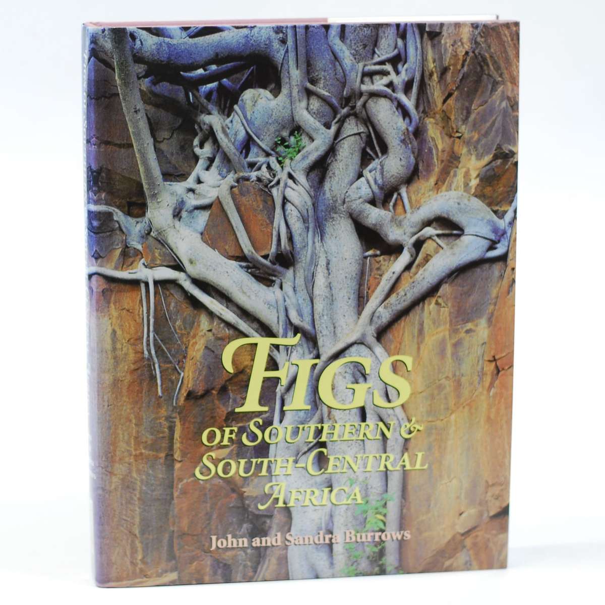 Figs of Southern & South-Central Africa. - Burrows, John and Sandra