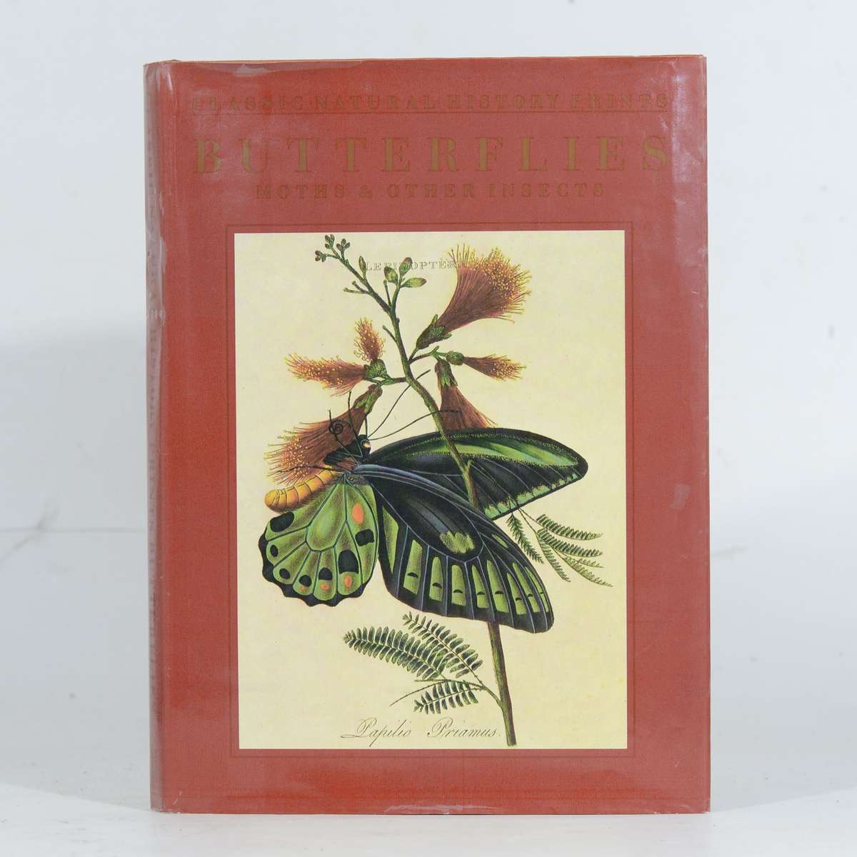 Butterflies, Moths and Other Insects. Classic Natural History Prints. V ol 5 - Dance, S Peter & H...