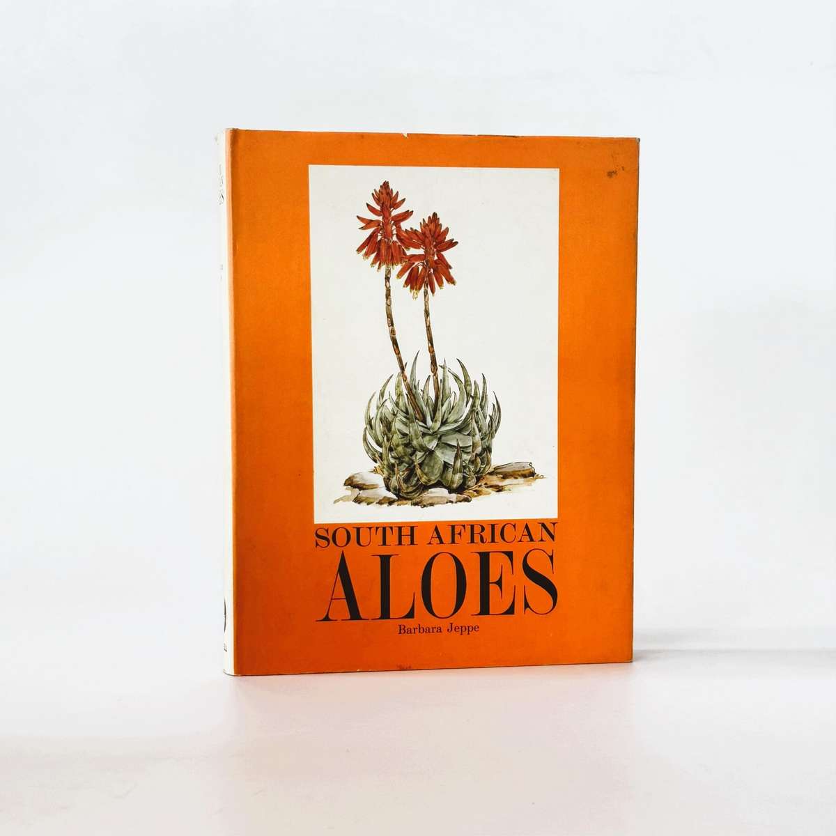 South African Aloes - Jeppe, Barbara