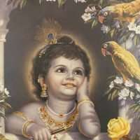 Krsna Art- Special Collection (very large coffee table book)