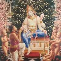 Krsna Art- Special Collection (very large coffee table book)