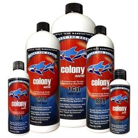 ATM Colony Marine 237ml - 300g