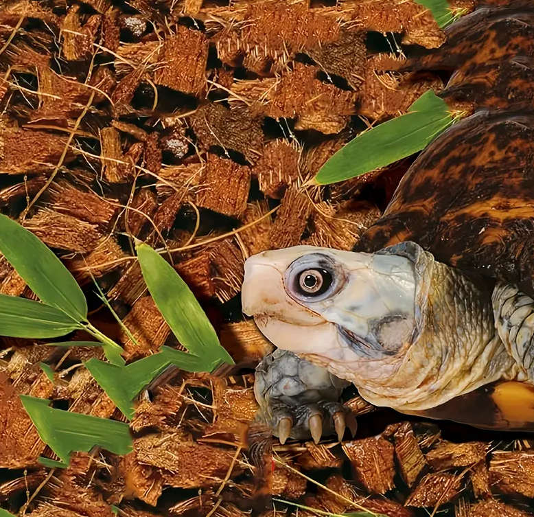 Coco Husk Chips 2ltr