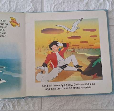 Die Klein Meerminnetjie - Fantasi