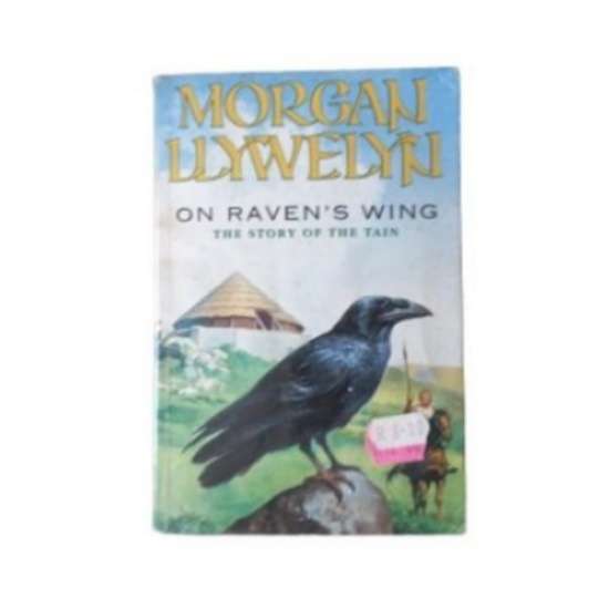 On Raven's Wing - Morgan Llywelyn