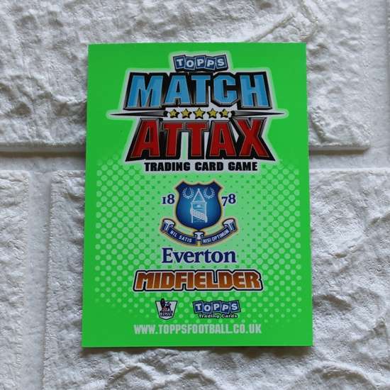 Steven Pienaar-Match Attax