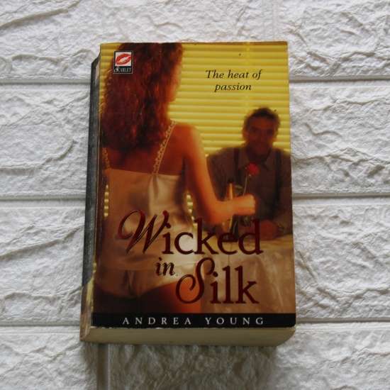 Wicked in Silk - Andrea Young