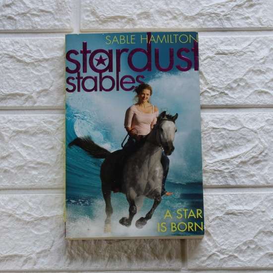 Stardust Stables- A Star is Born - Sable Hamilton