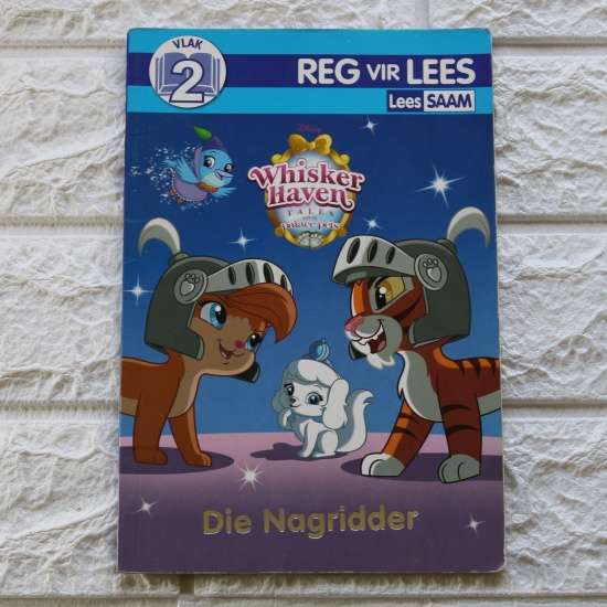 Die Nagridder- Reg vir Lees/Lees Saam Vlak 2