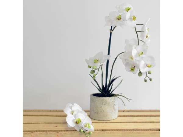 Sarah Jane White Decorative Multiple Orchids with Ceramic Pot - SJ6668