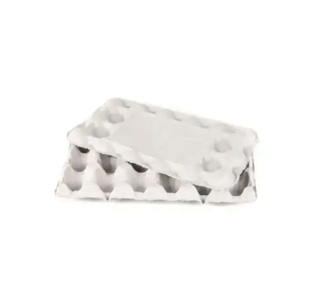 18 cavity pulp open egg tray