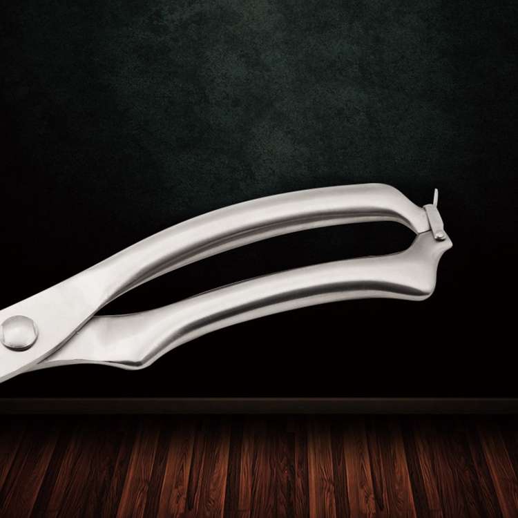 10 inch Kitchen Poultry Fish Chicken Bone Stainless Steel Cutter Cook Gadget Shear, Gift Box Package