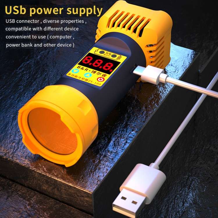 B&amp;R ZS-100 2 in 1 UV Curing Lamp + Fan Cooler Repair Tool