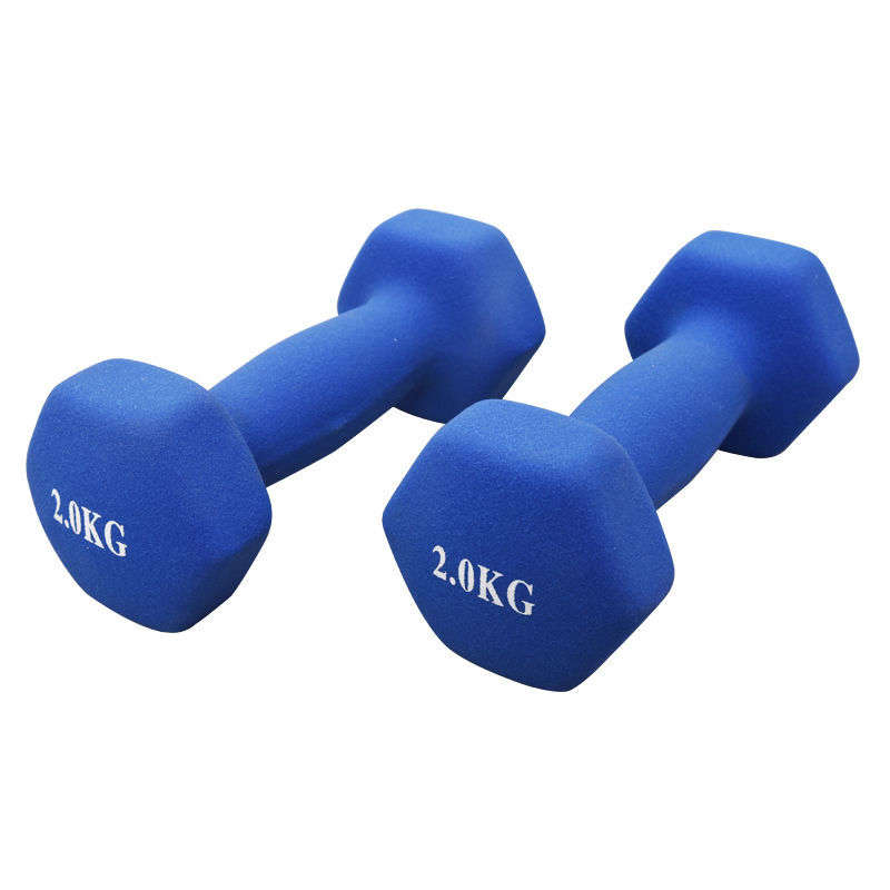 Dumbbells Weights 2kg