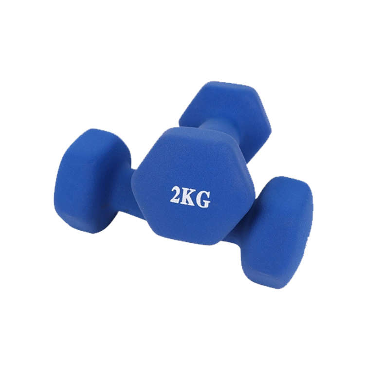 Dumbbells Weights 2kg