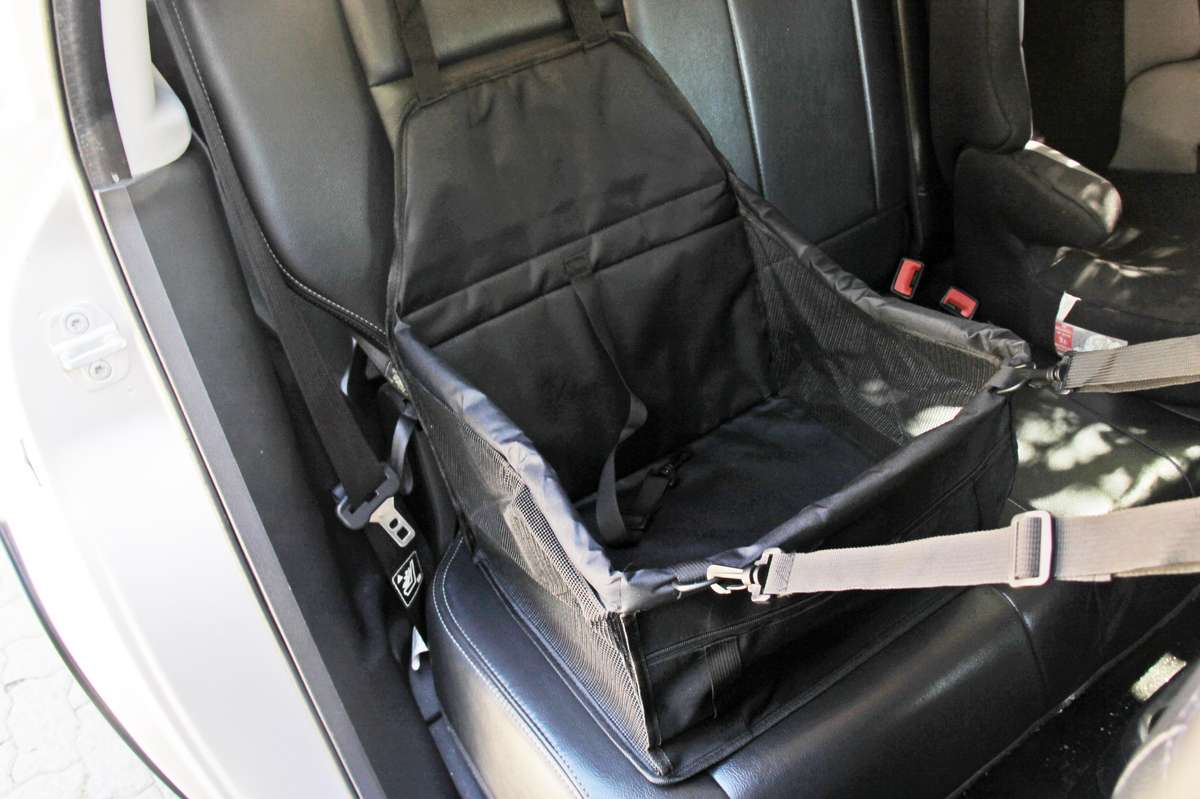 Rex - Pet Car seat Booster - black