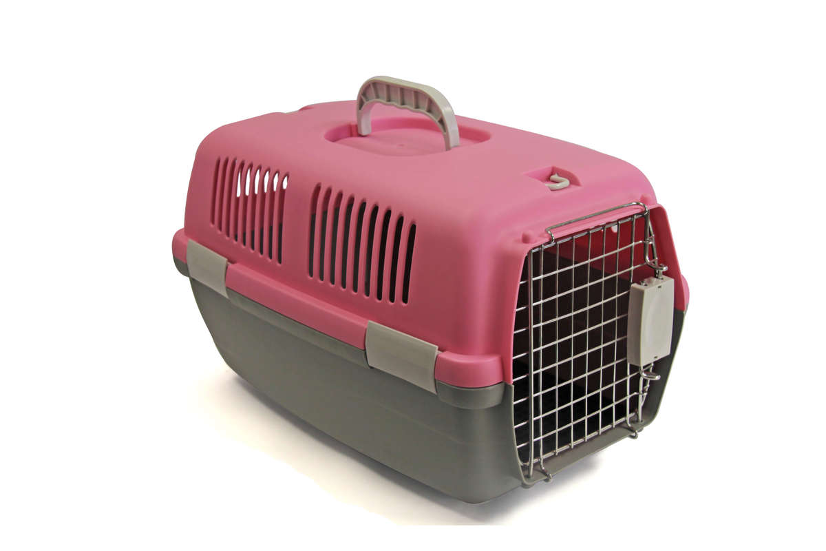 Rex - Pet Travel Case - Small - Pink