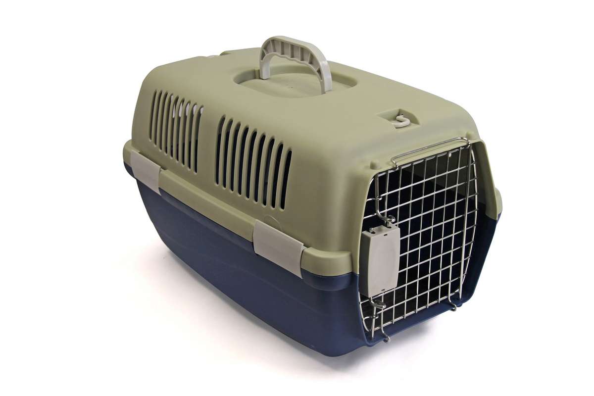 Rex - Pet Travel Case - Small - Grey
